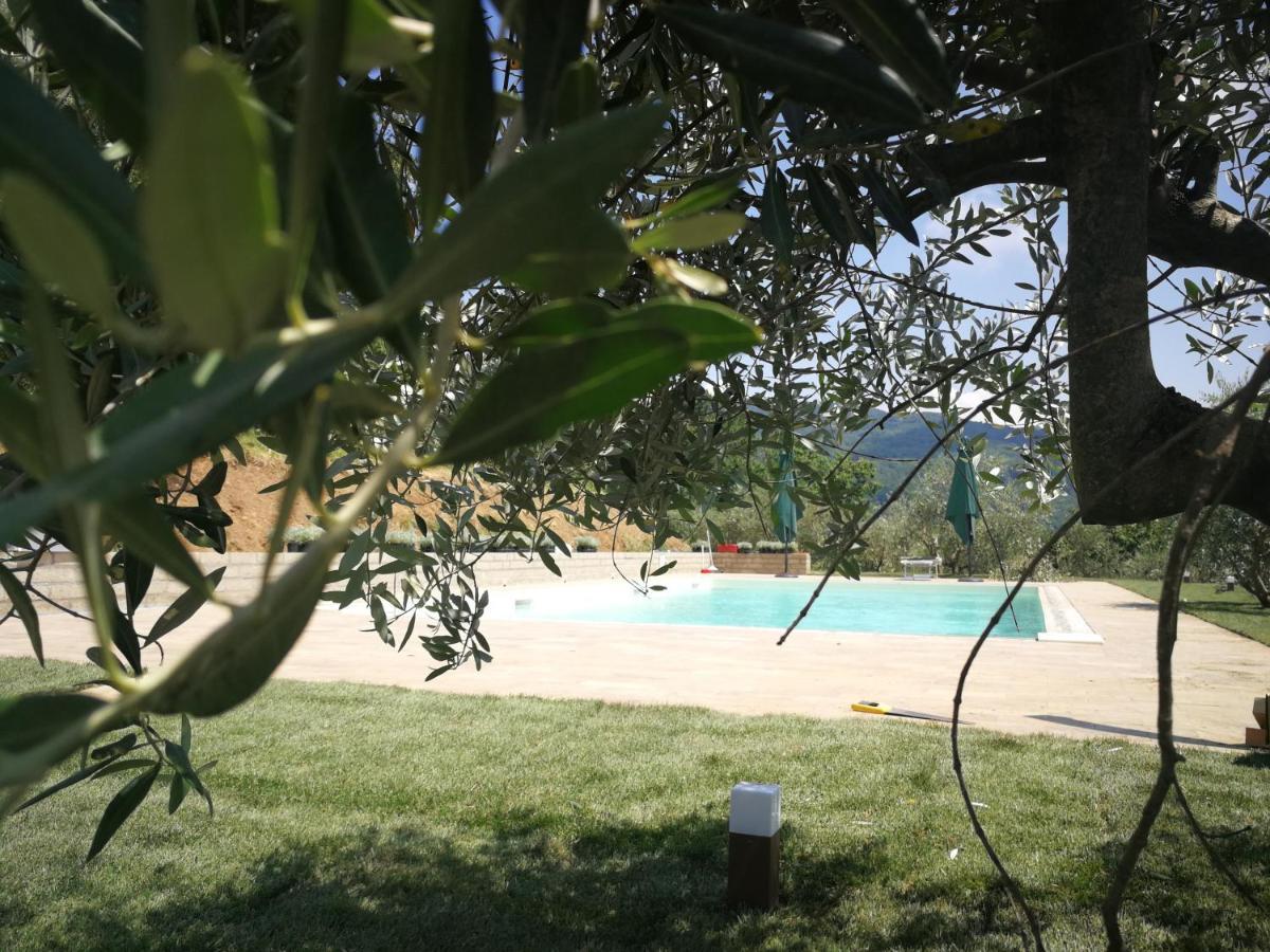 فيلا Casa Marconi Vetriano المظهر الخارجي الصورة