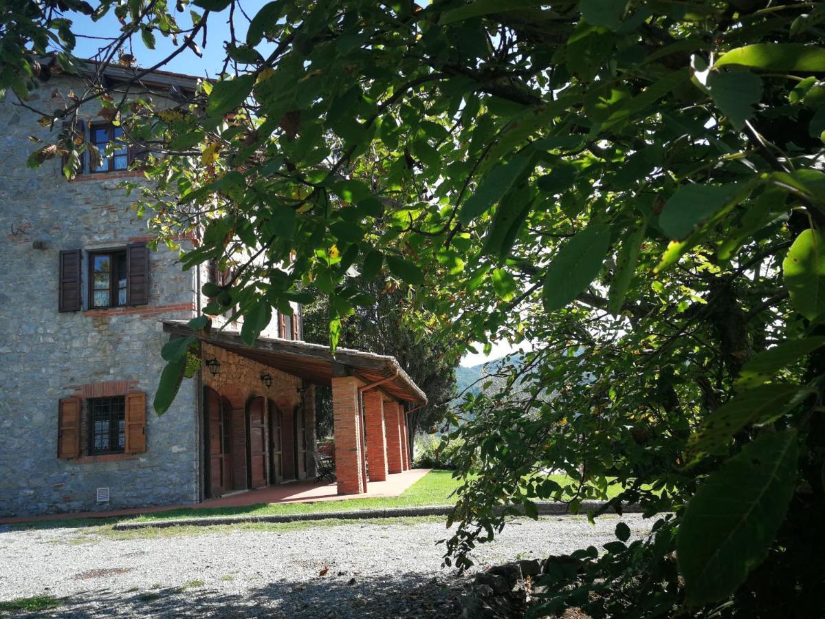 فيلا Casa Marconi Vetriano المظهر الخارجي الصورة