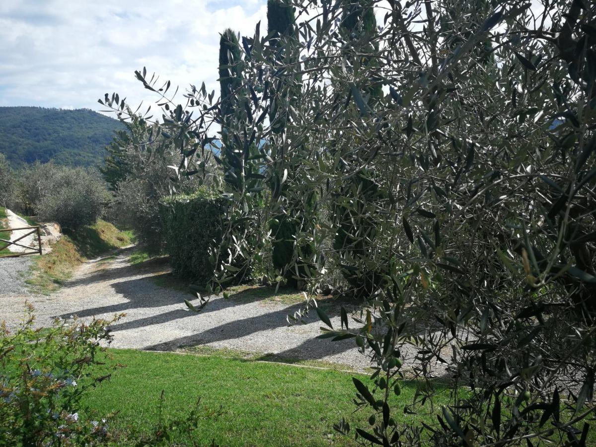 فيلا Casa Marconi Vetriano المظهر الخارجي الصورة